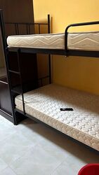 Blk 322A Anchorvale Grove (Sengkang), HDB 4 Rooms #595755561